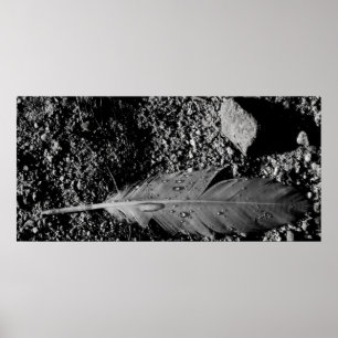 Poster Plume humide