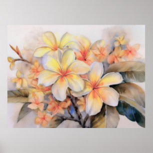 Poster Plumeria et Shell Ginger