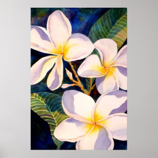 Poster Plumerias Aglow
