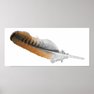 Poster Plumes de faucon rouge