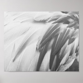 Poster Plumes de Flamant rose monochrome Art imprimable