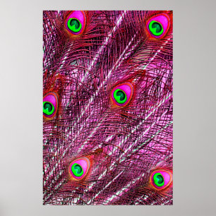 Poster Plumes de paon rouge plumage de couleur