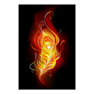 Poster Plumes de paquetage de feu