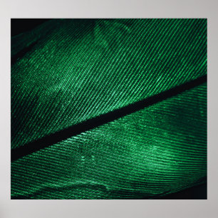 Poster Plumes Vertes, Belle Texture Motif.