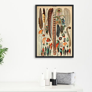 Poster Plumes vintages   Type de prunes 1910 Français