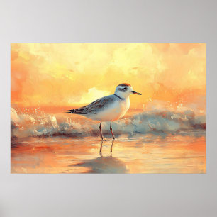 Poster Pluvier debout dans les vagues de l'océan au couch
