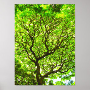 Poster Pod