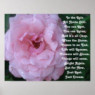 Poster Poème de pluie sur une belle rose rose avec goutte