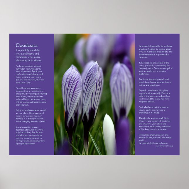 Poster Poème Desiderata - Crocus Printaniers Variés (Devant)