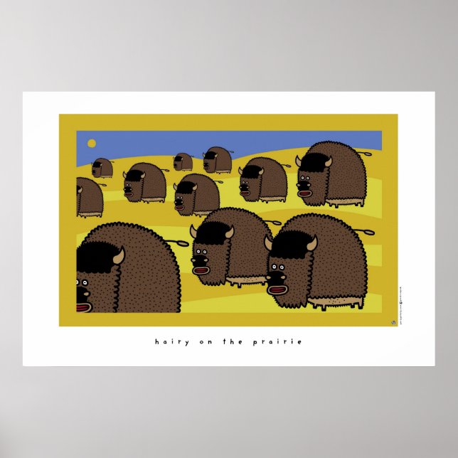 Poster poilu dans la prairie (Devant)