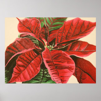 Poster "Poinsettia" par Jenny Koch