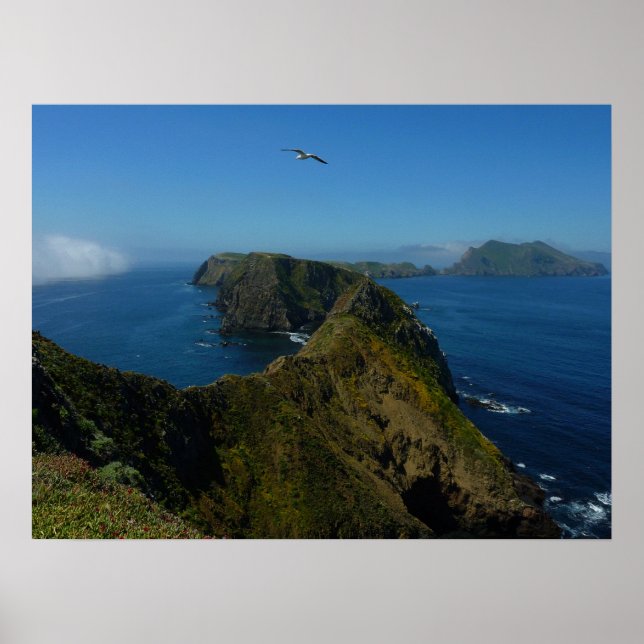 Poster Point d'inspiration I d'Anacapa aux îles Anglo-Nor (Devant)