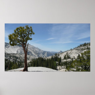 Poster Point I d'Olmsted au parc national Yosemite