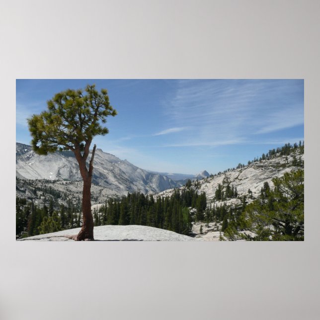Poster Point I d'Olmsted au parc national Yosemite (Devant)