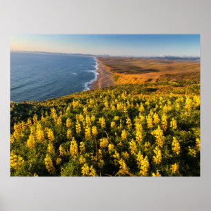 Poster Point Reyes National Seashore California