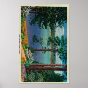 Poster Pointe de flèche de ViewLake de pointe de flèche