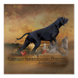 Poster Pointeur à poils courts allemand, Tapisserie ZACHA