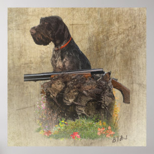 Poster Pointeur À poils durs allemand avec boîte cadeau e