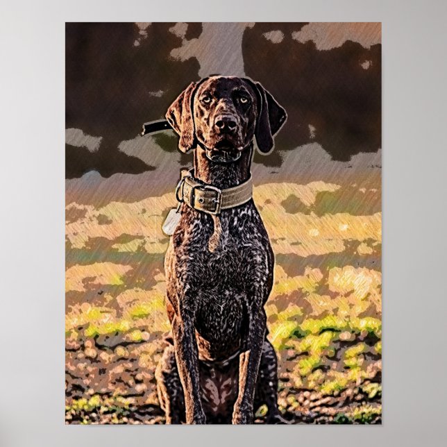 Poster Pointeur, pointeur, GSP allemand (Devant)