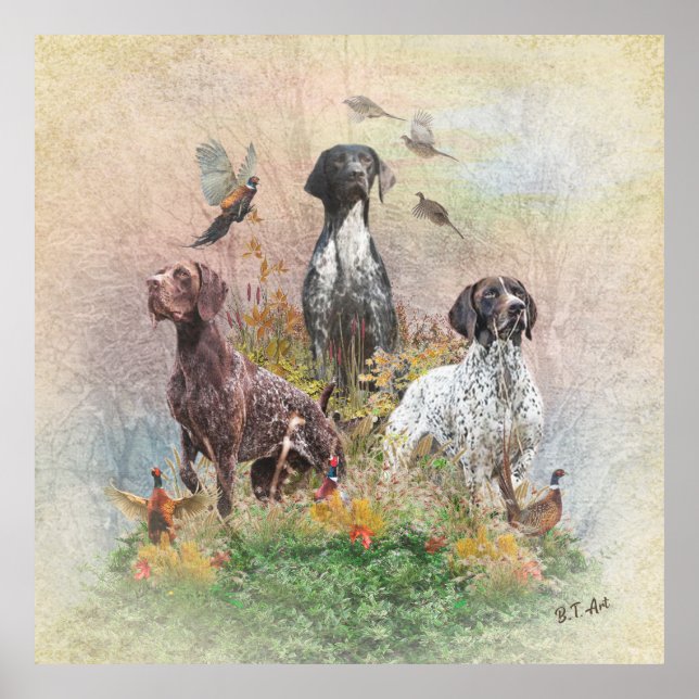 Poster Pointeurs germains (GSP) (Devant)