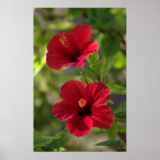 Poster Pointez sur le chemin