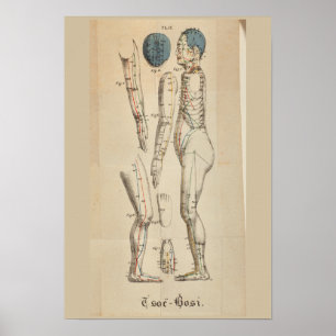 Poster Points 1825 vintages de méridien d'acuponcture de