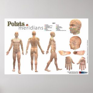 Poster Points and meridians of the body - Annotated