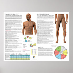 Poster Points d'acupuncture du méridien de l'estomac