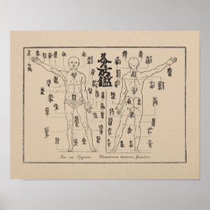Poster Points Moxa en Moxibustion japonaise d'acupuncture