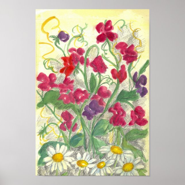 Poster Pois doux rouge Daisy Aquarelle Jardin Dessin (Devant)