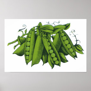 Poster Pois mange-tout vintage, Aliments, Légumes sains