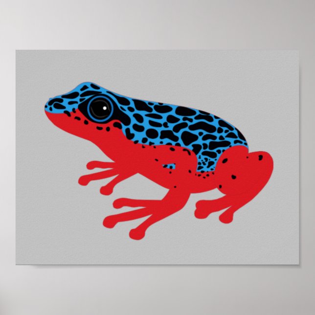 Poster Poison grenouille (Devant)