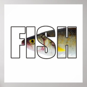 Poster Poisson