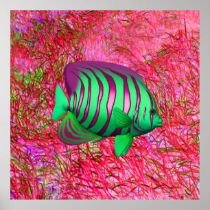 Poster Poisson