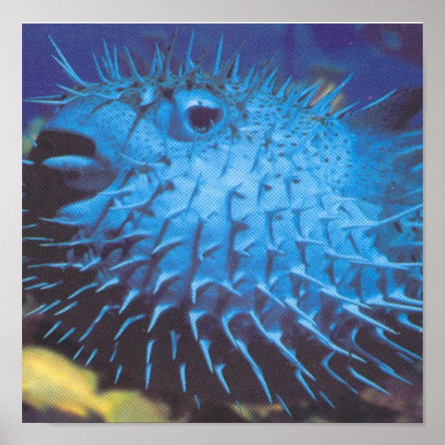 Poster Poisson (Devant)