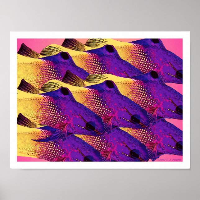 Poster 'Poisson 6.2' (Devant)