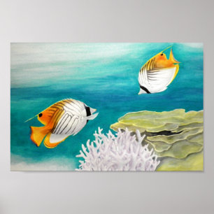 Poster Poisson ange