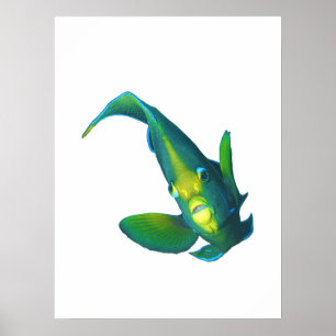 Poster Poisson ange - Conception abstraite - Découpé d'un