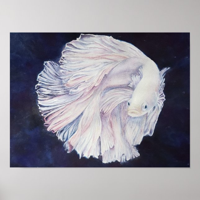 Poster Poisson blanc exceptionnel (Devant)