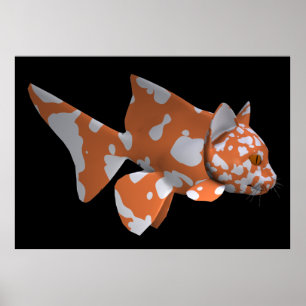 Poster Poisson-chat Blanc-Orange