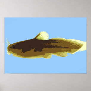 Poster Poisson-chat Tadpole Madtom