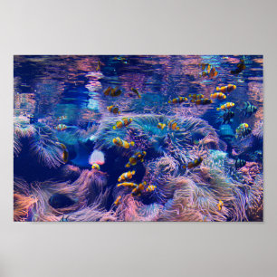 Poster Poisson clown et aquarium violet