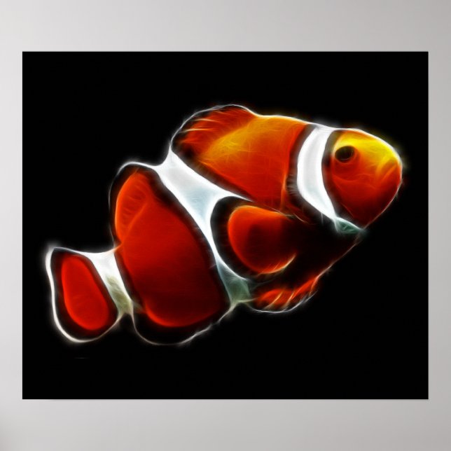 Poster Poisson clown tropical orange (Devant)