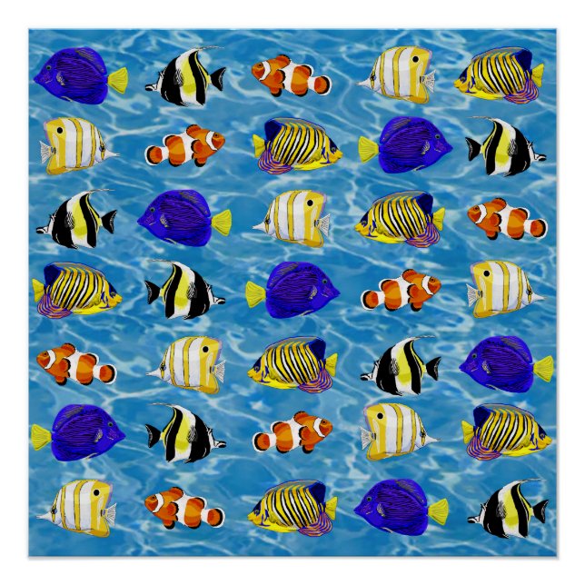 Poster Poisson coloré (Devant)