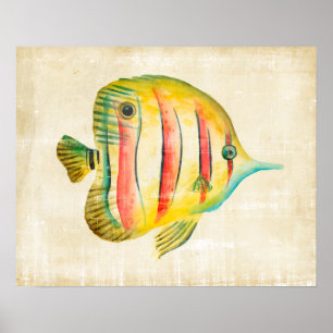 Poster Poisson coloré