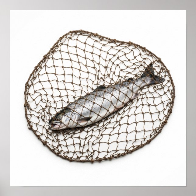 Poster Poisson dans un filet (Devant)
