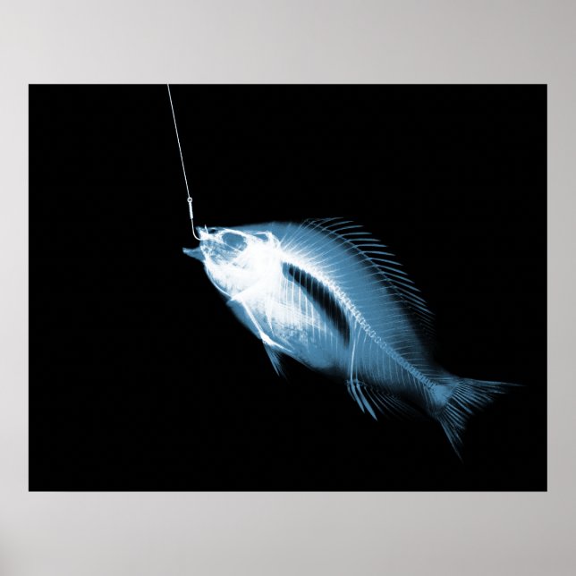 POSTER POISSON DE CHAMPIONNAT XRAY BLACK BLEU (Devant)