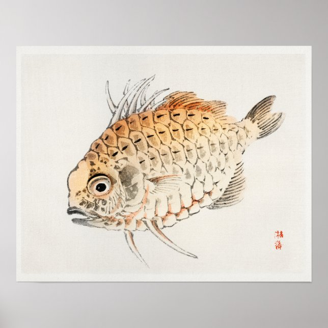Poster Poisson de Kōno Bairei (1844-1895) (Devant)