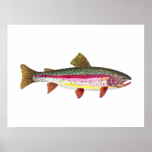 Poster Poisson de truite arc-en-ciel