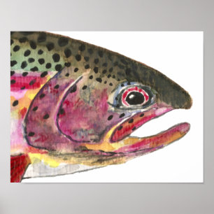 Poster Poisson de truite arc-en-ciel